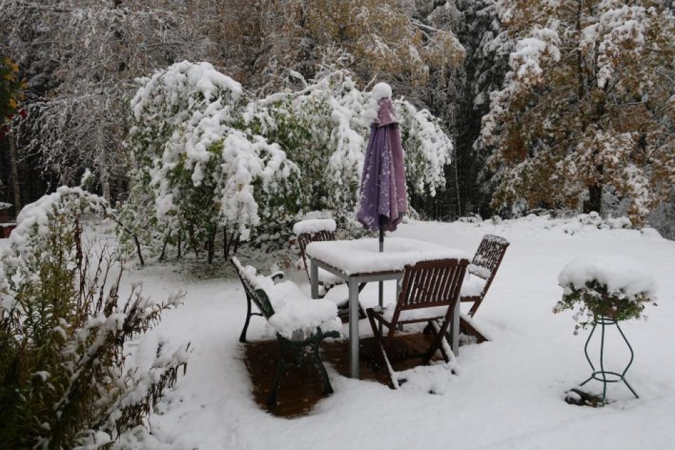 Matti Eskelisen kotipihassa Hammaslahdessa oli noin 15 sentin lumikerros perjantaina aamulla.