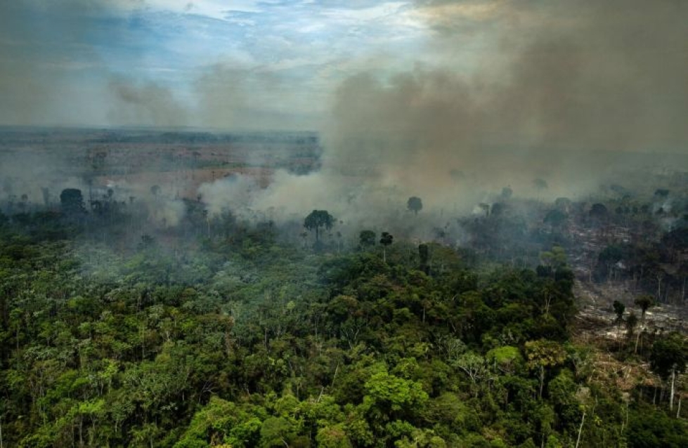 Tuoreiden laskelmien mukaan Brasiliassa on tänä vuonna syttynyt jo liki 80 000 metsäpaloa. LEHTIKUVA/AFP