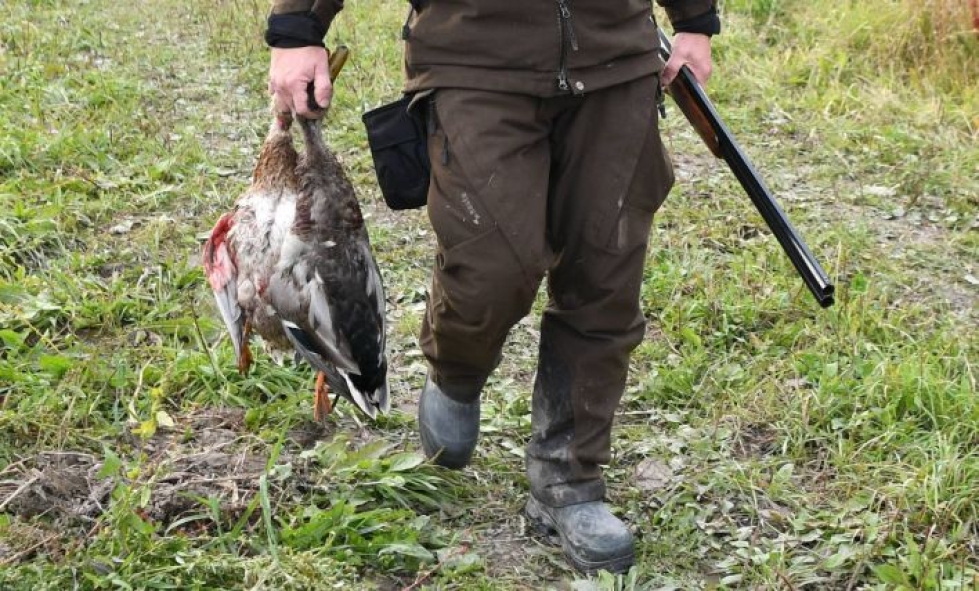 Suomessa on noin 307000 metsästyskortin lunastanutta metsästäjää. LEHTIKUVA / Jussi Nukari