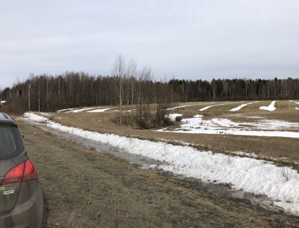 Lumesta oli vain rippeet jäljellä Pyhäselän Reijolassa 14.3.2020.