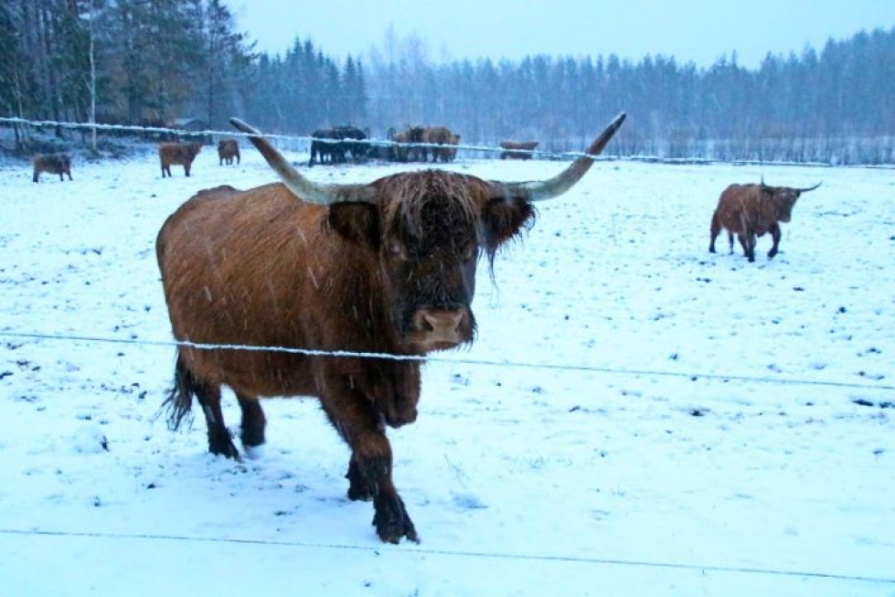 Pohjois-Karjala on Suomen maaseutuvaltaisimpia maakuntia. Koko maan peltopinta-alasta on Pohjois-Karjalassa silti vain neljä prosenttia.