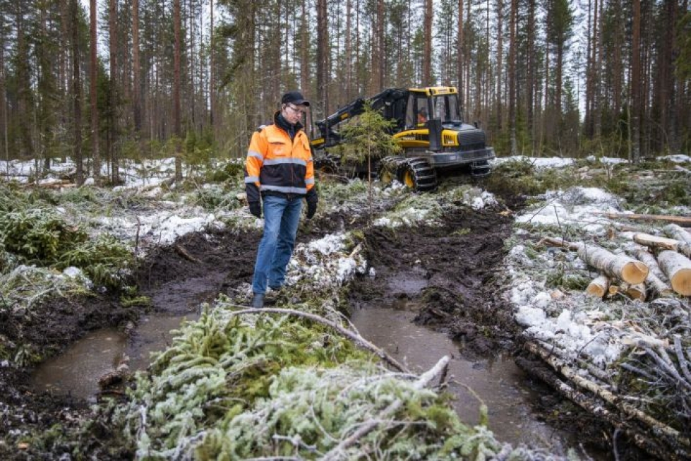 Marko Saastamoinen metsähakkuilla Kuopion Maaningalla 17. tammikuuta 2020. Alueella ei ole voitu tehdä normaaleja talvihakkuita lauhan talven takia. LEHTIKUVA / AKSELI MURAJA