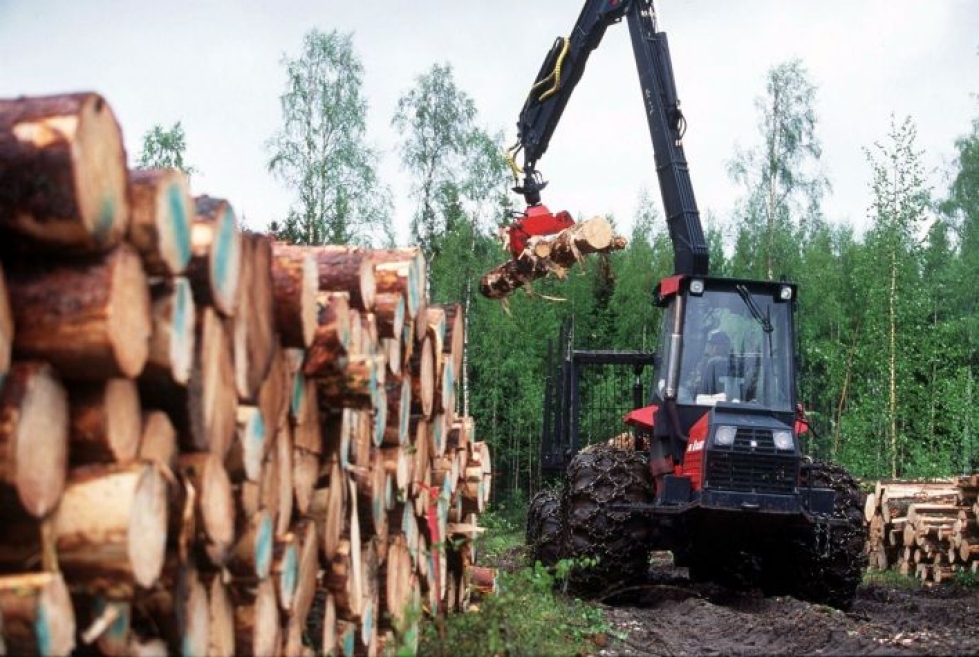Metsäsektorin osuus biotalouden tuotoksesta ja arvonlisäyksestä oli viime vuonna lähes 40 prosenttia. LEHTIKUVA / Jaakko Avikainen
