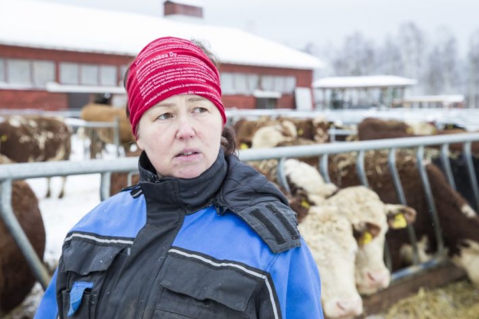 Mari Puustinen arvelee kuluttajien tietoisuuden lisääntymisen suosivan suomalaista tuotantoa tuontilihaan nähden.