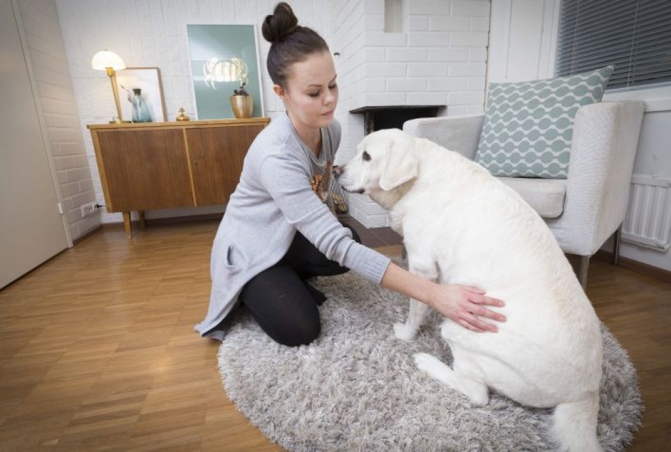 Kuopiolaisen Jenni Korhosen Bella-koira joutui laturaivon kohteeksi viikonloppuna. Hiihtäjä löi sitä ohikulkiessaan rajusti sauvalla selkään.