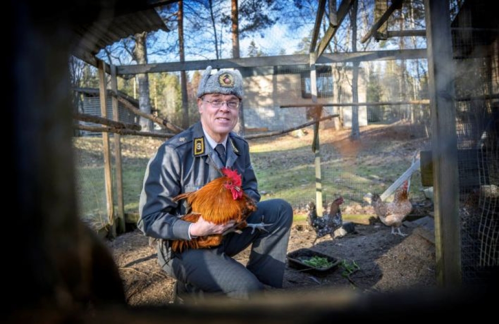 Kananhoito on yksi kenttäpiispa Pekka Särkiön harrastuksista. Maatiaiskana kestää hänen mukaansa ulkoilmaa hyvin.