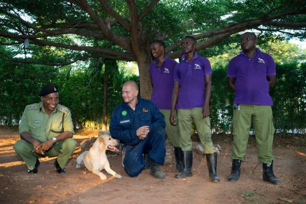 Norsunluukoira Rokka poseeraa Tansanian koirapoliisin päällikön Egyne Emmanuelin (vas.) ja isäntänsä Toni Lahtisen välissä. Rokan seurassa myös koirakouluttajat Peeter, Omary ja Said.