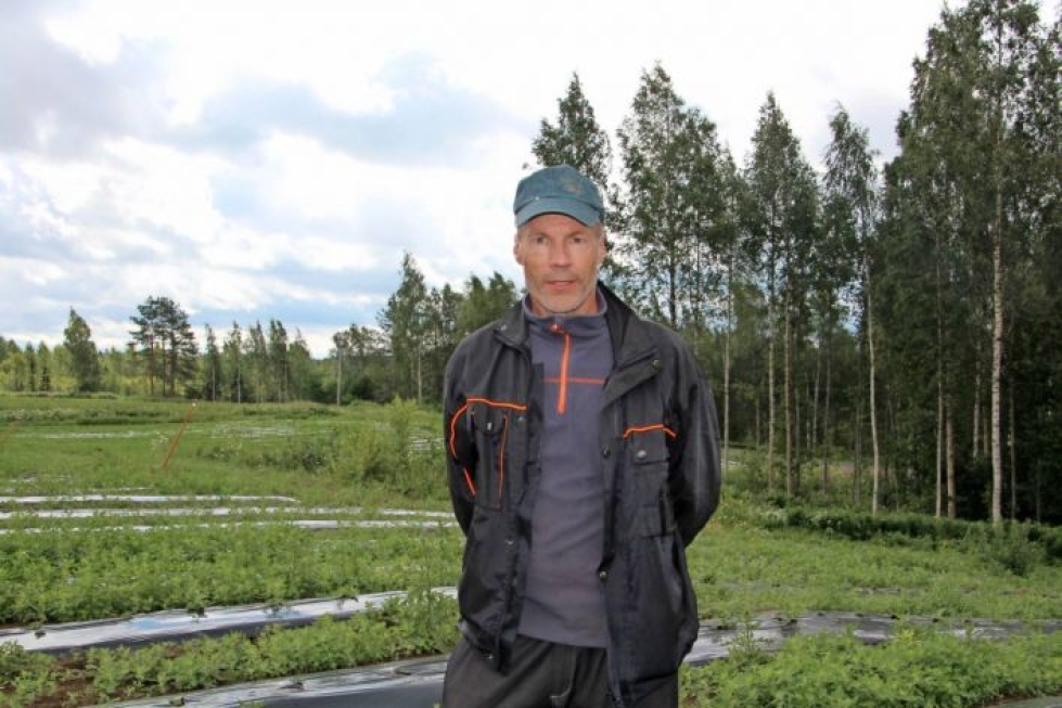 Paavo Karvisen tilan pääasiallinen luomumarja on mansikka. Paavo Karvinen asuu talvet Helsingissä, mutta toukokuusta elo-syyskuuhun saakka hän asuu ja työskentelee sukutilallaan Tohmajärvellä.