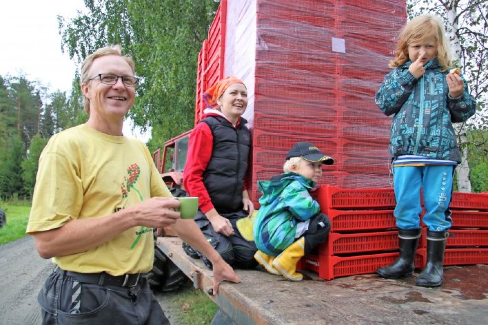 Tero Tolvasen ja Jaana Nikkilän tilalla on menossa mustaherukan puinti. Kuvassa lapsista Onni ja Toivo (oik.), sen sijaan Martta ja Matti ovat vielä koulutiellä.