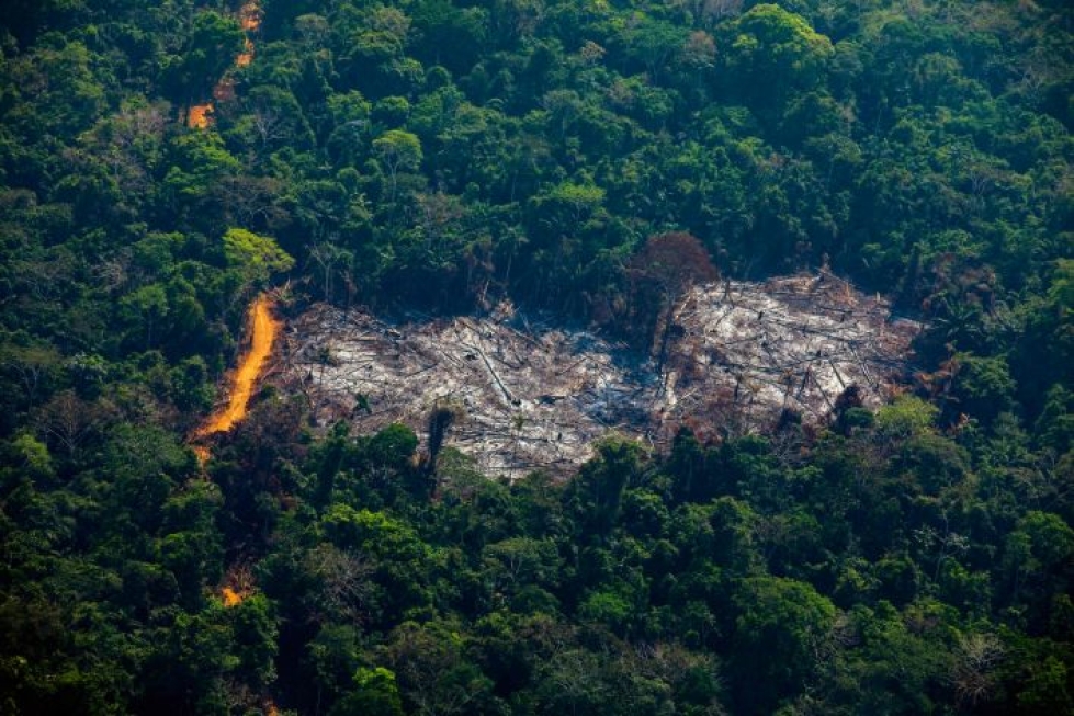 Maailman suurimmassa sademetsässä on roihunnut laajoja metsäpaloja jo viikkojen ajan. LEHTIKUVA/AFP