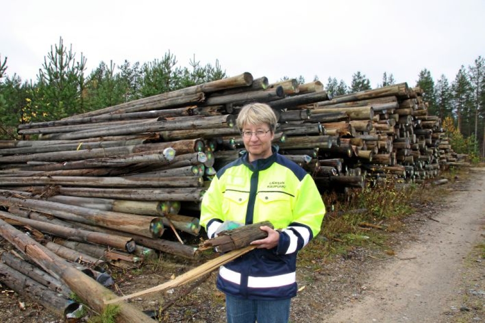 Riitta Laatikainen arkistokuvassa vuodelta 2012.