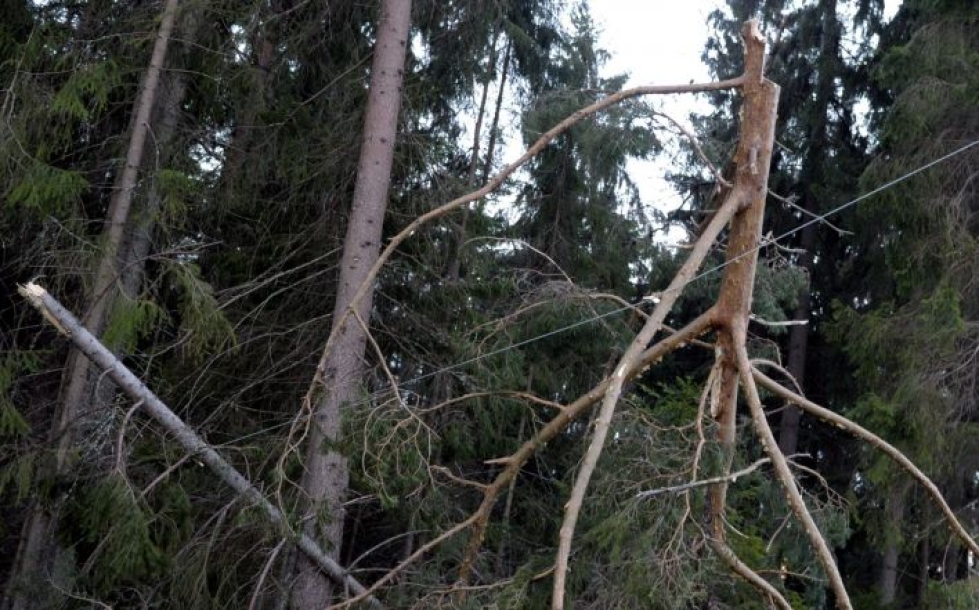Pohjois-Karjalan pelastuslaitos suoritti myrskystä johtuen noin 70 vahingontorjuntatehtävää. Kuva liity eilisiin tuhoihin. LEHTIKUVA / JUSSI NUKARI