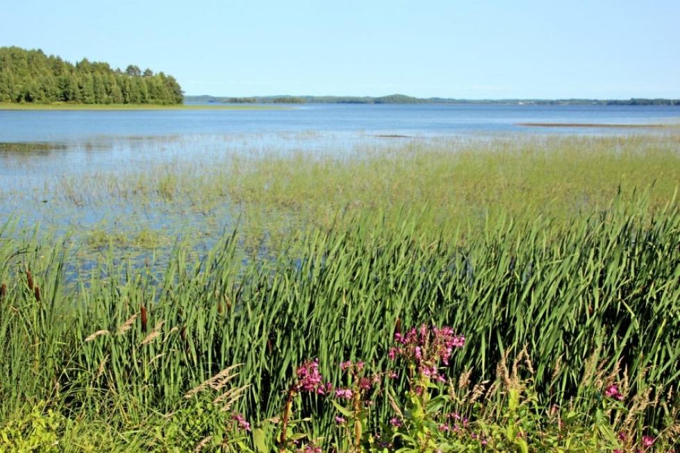 Kiteenjärvi kaipaa niittämistä ja muuta kunnostusta.