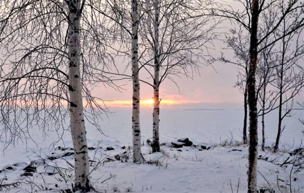 Lukijan kuvassa vuoden pimeimmän ajan auringonsäteitä Utrassa.