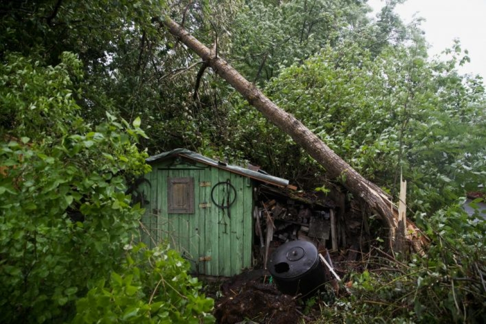 Joensuun keskustassa Länsikadulla Jukka Vaarin pihasta kaatui useampi puu. Puut hipoivat autoa ja rakennuksia, mutta kello 21.30 mennessä vahinkoa oli tullut vain pensasaidalle.