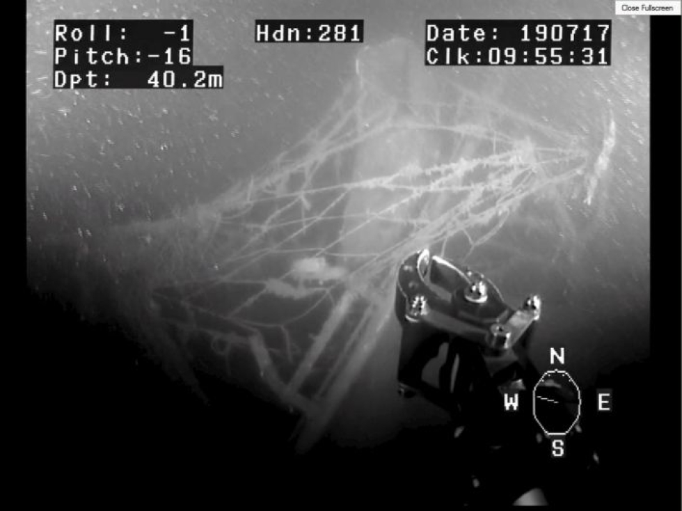 Suomenlahden merivartioston välittämä pysäytyskuva Königin Luisen hylystä otetulta videolta, kuvassa haamuverkko. Königin Luise on riskihylky mahdollisen öljyvuodon takia. LEHTIKUVA / HANDOUT
