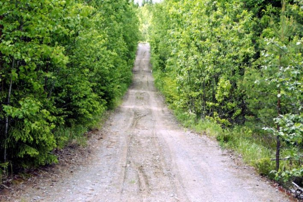 Metsätien perusparannus olisi ajankohtaista, kun tie on pahasti painunut ja pehmentynyt ja sen reunat ovat vesakoituneet.