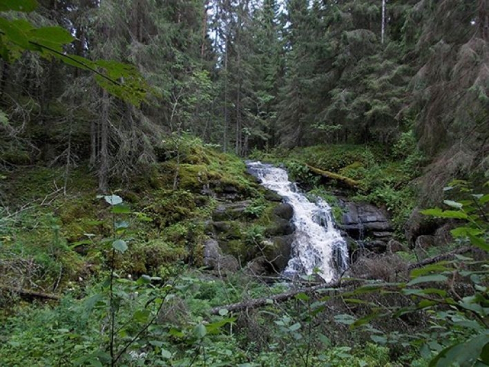 Vesiputous Rautalahdenniemellä Laatokan saariston kansallispuiston alueella. 