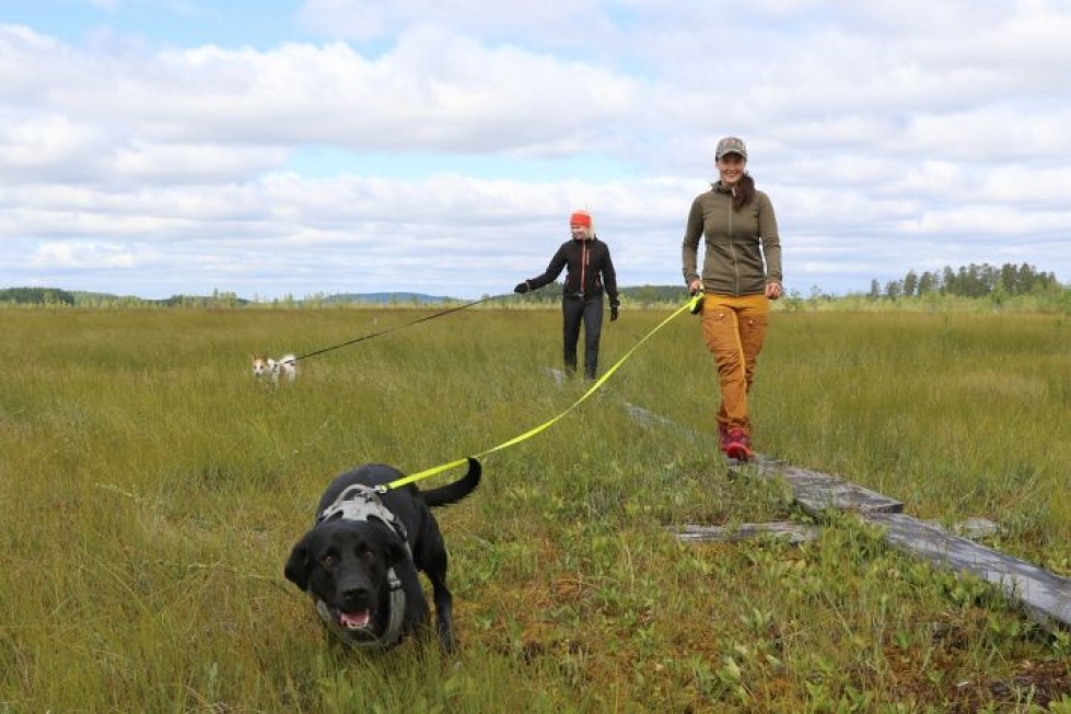 Miia Kokkonen ja Tiina Ikonen tykkäävät liikkua koiriensa kanssa Reposuon reiteillä.
