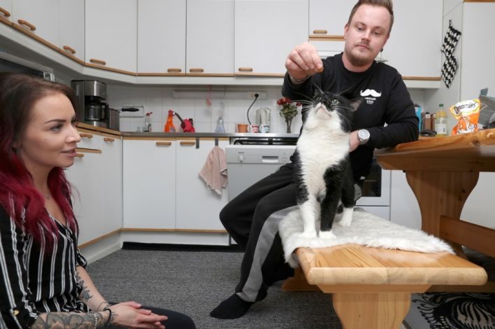Maria Hirvonen ja Petri Niemeläinen adoptoivat Routa-kissan hieman vajaa vuosi sitten.