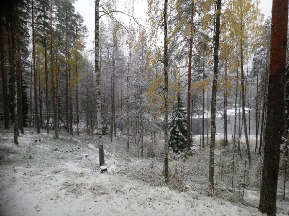 Myös Lieksan Ruunaalla satoi perjantaina lunta.
