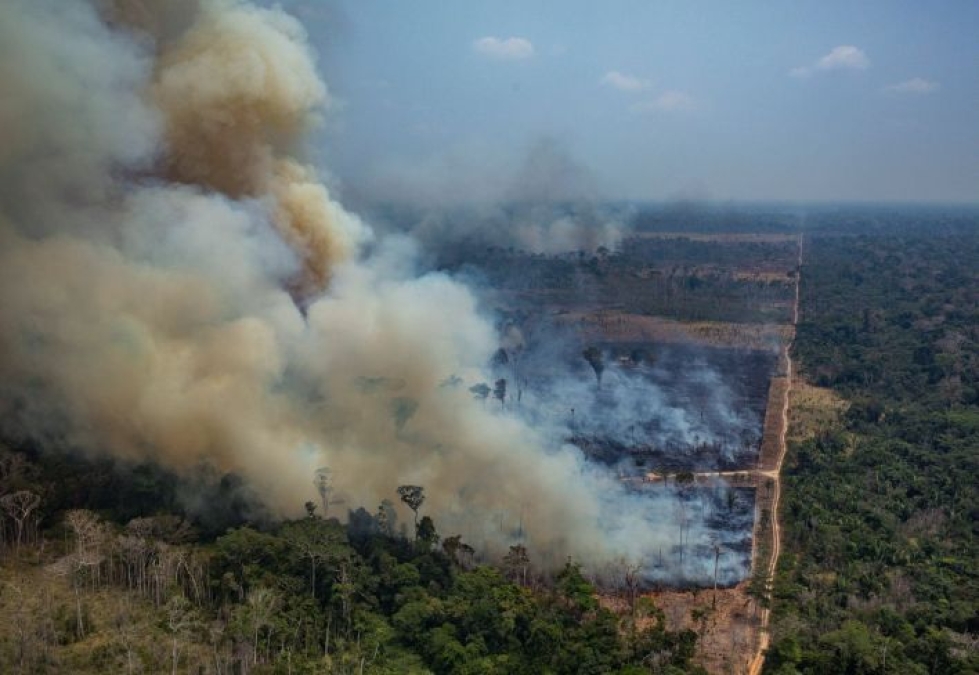 Amazonin sademetsissä Brasiliassa syttyi alkuviikolla taas uusia metsäpaloja siitä huolimatta, että sotilaslentokoneet ovat rientäneet vihdoin hätiin heittämään vettä pahasti tuhoutuneiden alueiden päälle. LEHTIKUVA / AFP / GREENPEACE / VICTOR MORIYAMA