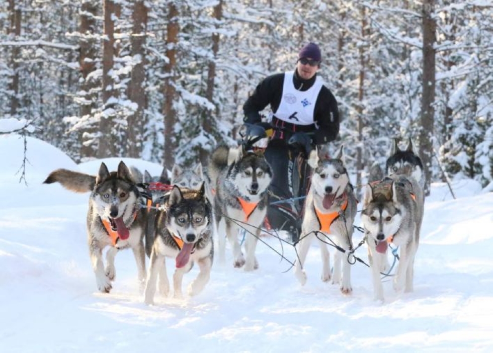 Mikko Paajanen eteni perjantaina koirineen Ruunaan reitin lumisissa metsissä. Kilpailu jatkuu lauantaina ja sunnuntaina.