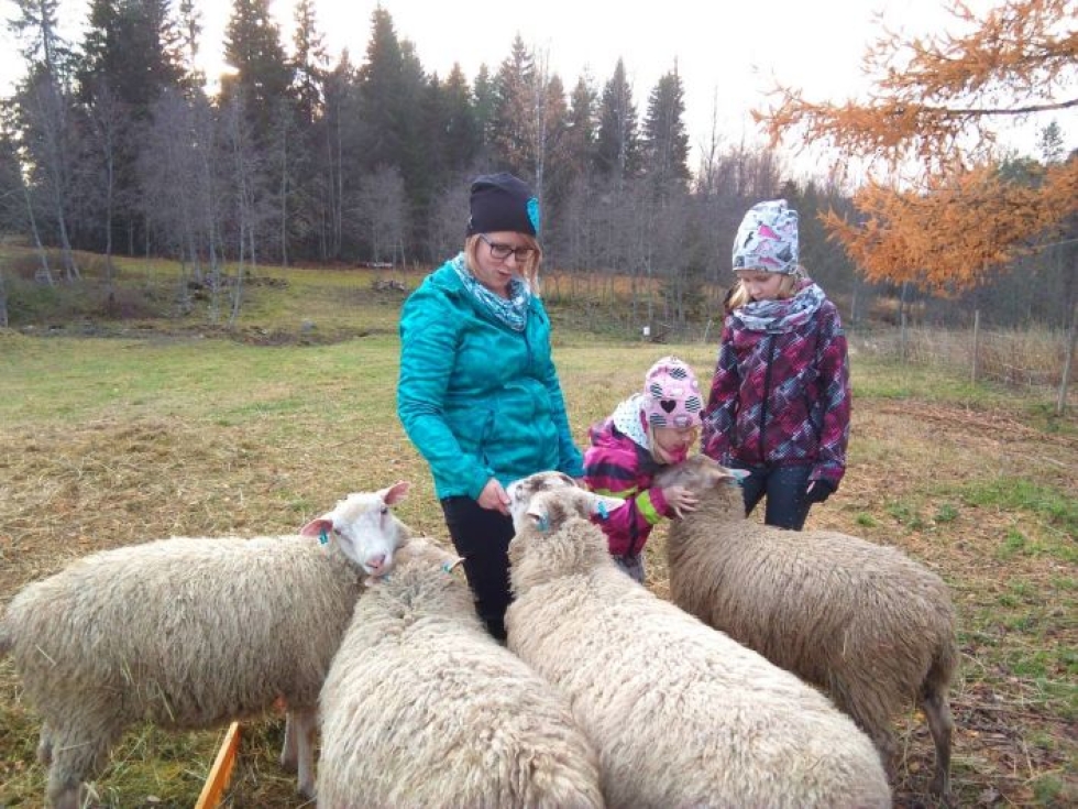 Eira Muikku Liinun ja Juulin kanssa lampaita silittelemässä.