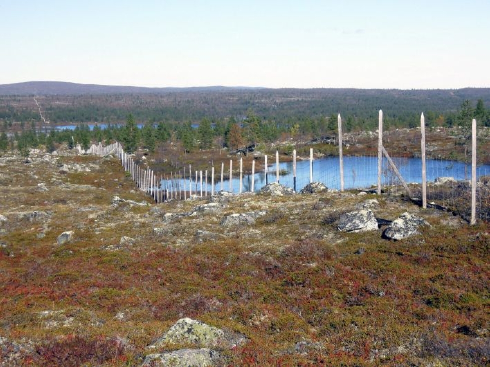 Ratahankkeen vaikutuksista on kannettu huolta erityisesti ympäristöjärjestöjen ja saamelaisten keskuudessa. Kuva Vätsärin erämaasta Suomen ja Norjan rajalta. LEHTIKUVA / RITVA SILTALAHTI