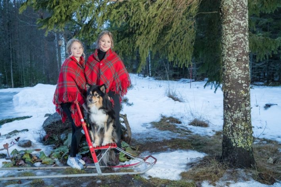 Liperissä kasvaneet Anni-Marja (vas.) ja Ellá Saari eivät tunne muita Pohjois-Karjalan saamelaisia, vaikka tietävät, että heitä on. Perheessä on aina ollut lapinkoiria; kuvassa Oiva.
