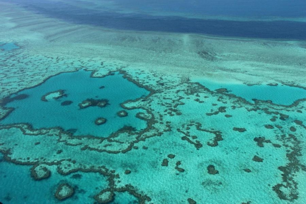 Muun muassa korallit ovat kärsineet ilmastonmuutoksesta. Iso valliriutta Queenslandin rannikolla Koillis-Australiassa. LEHTIKUVA/AFP