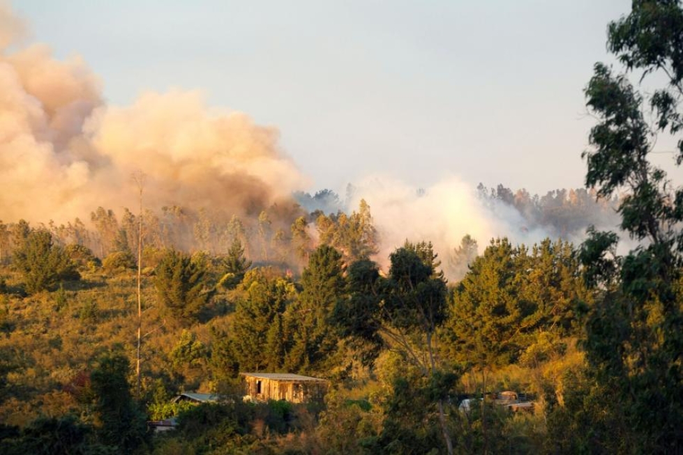 Tuli on tuhonnut Chilen Valparaison lähellä metsää, maastoa ja asuntoja. LEHTIKUVA/AFP