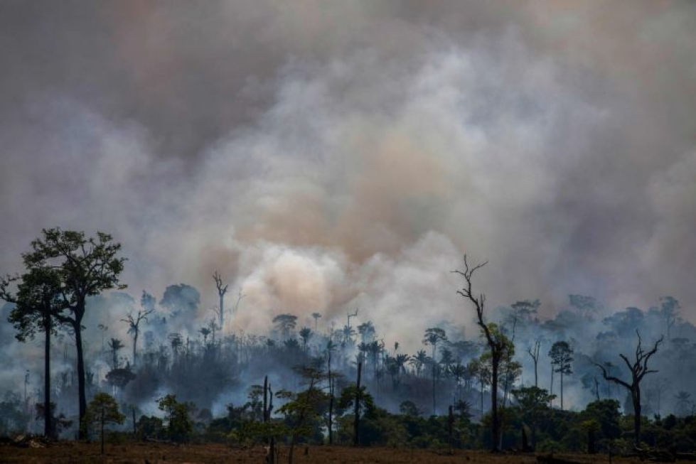 Viime vuonna Brasilian pohjoisosia peittävää Amazonin sademetsää piinasivat laajat metsäpalot. LEHTIKUVA/AFP