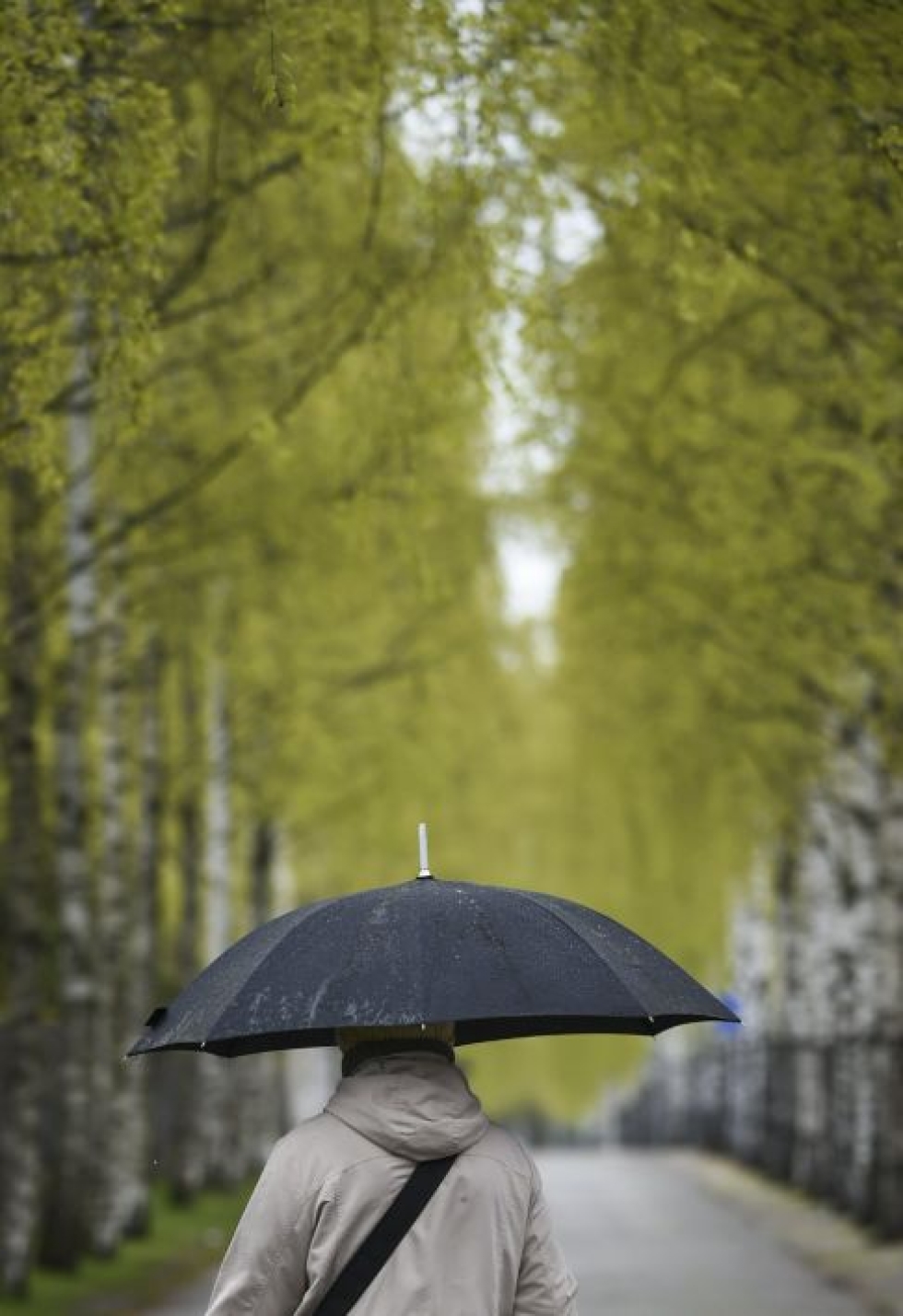 Eteläiseen ja pohjoiseen Suomeen ennustetaan yöpakkasia ja kuuroittaisia sateita. LEHTIKUVA / Markku Ulander
