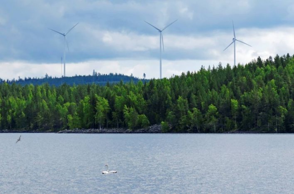 Hiilineutraalissa Suomessa yhteiskunta on sähköistetty ja sähkö tuotetaan päästöttömästi esimerkiksi tuulivoimalla. Metsät toimivat tehokkaina hiilinieluina, kun ne kasvavat selkeästi enemmän kuin niitä hakataan tai muutoin tuhoutuu.