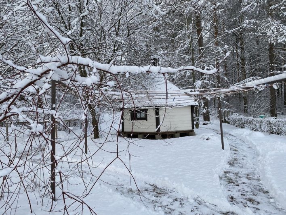 Lumitalvi on tullut Pohjois-Karjalaan - ainakin toistaiseksi. 
