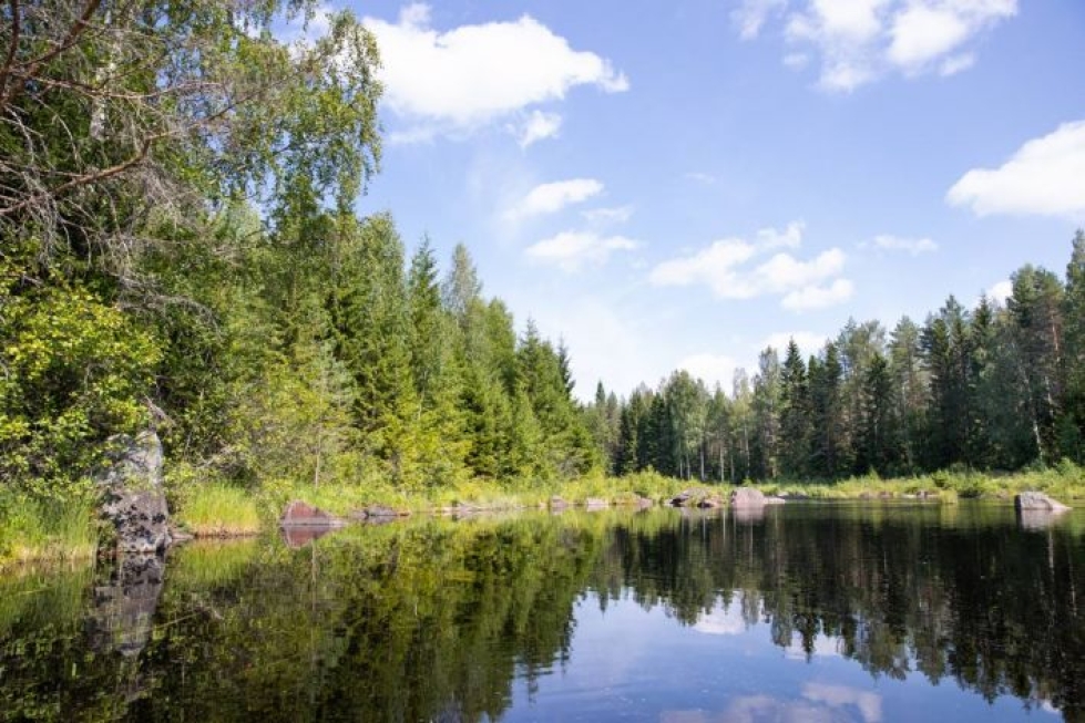 Pohjois-Karjalan kalataloudellisesti arvokkaisiin pienvesiin kuuluu muun muassa Ala-Koitajoki.