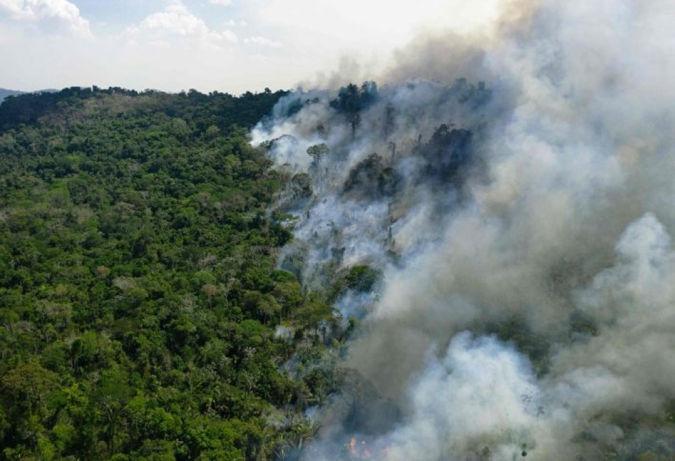 Metsäkadon syyt vaihtelevat alueittain. Kuva tulipalosta Amazonin sademetsässä Brasiliassa. LEHTIKUVA/AFP