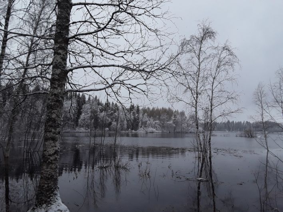 ”Perjantaiaamun näkymä Kiteen Hyypiille. Järvi on sula, mutta lunta on ainakin kymmenen senttiä, ja lisää sataa”, kuvan lähettänyt Terttu-Liisa Tiainen kertoo.